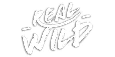 339 Real Wild